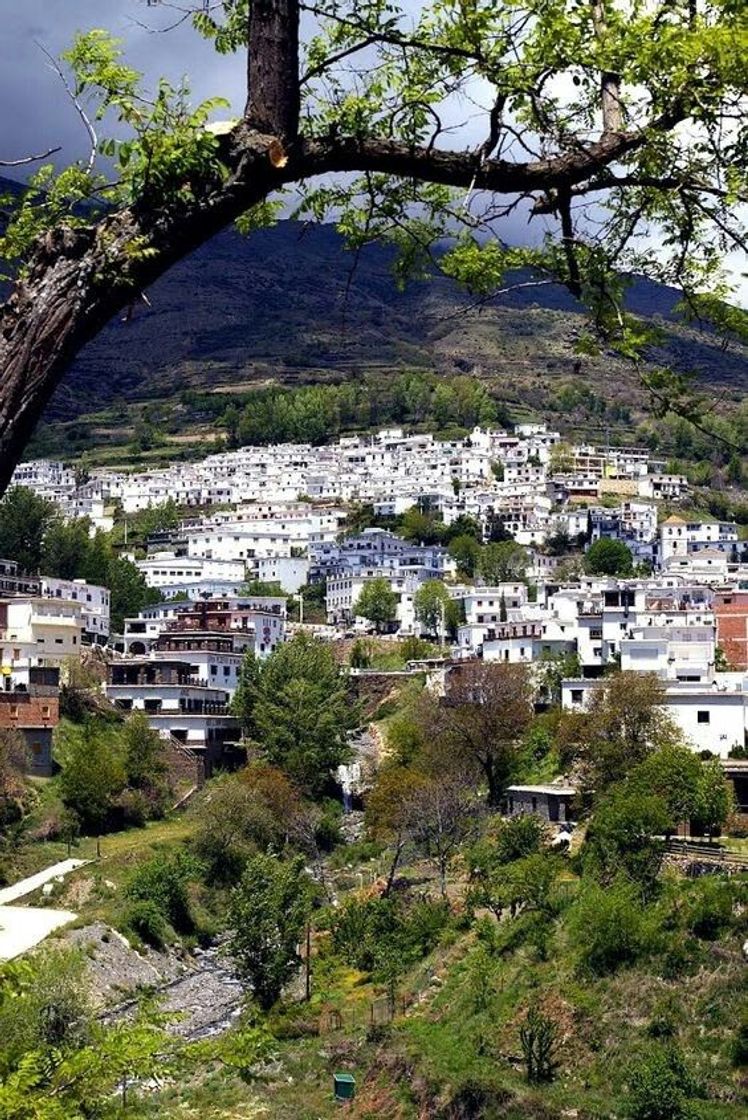 Place Las Alpujarras