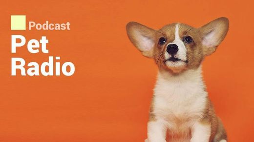 Pet Radio