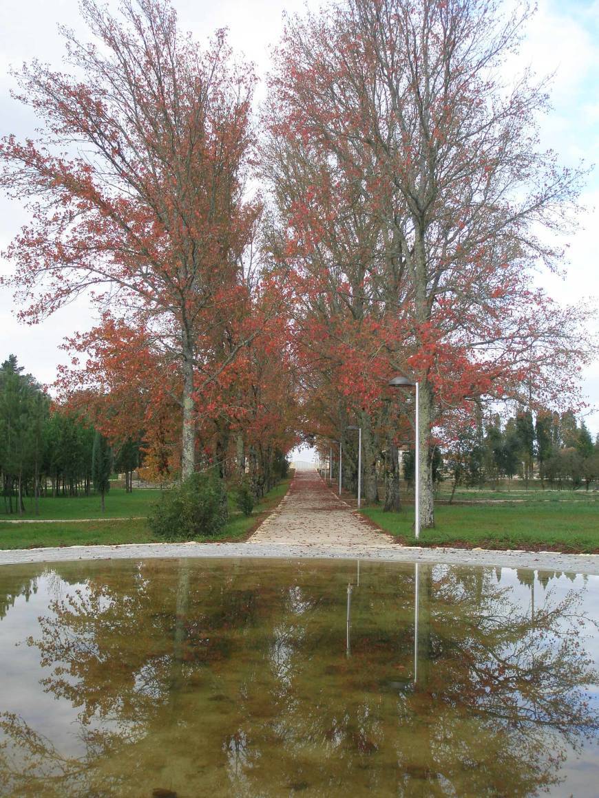 Places Parque da Cidade da Mealhada