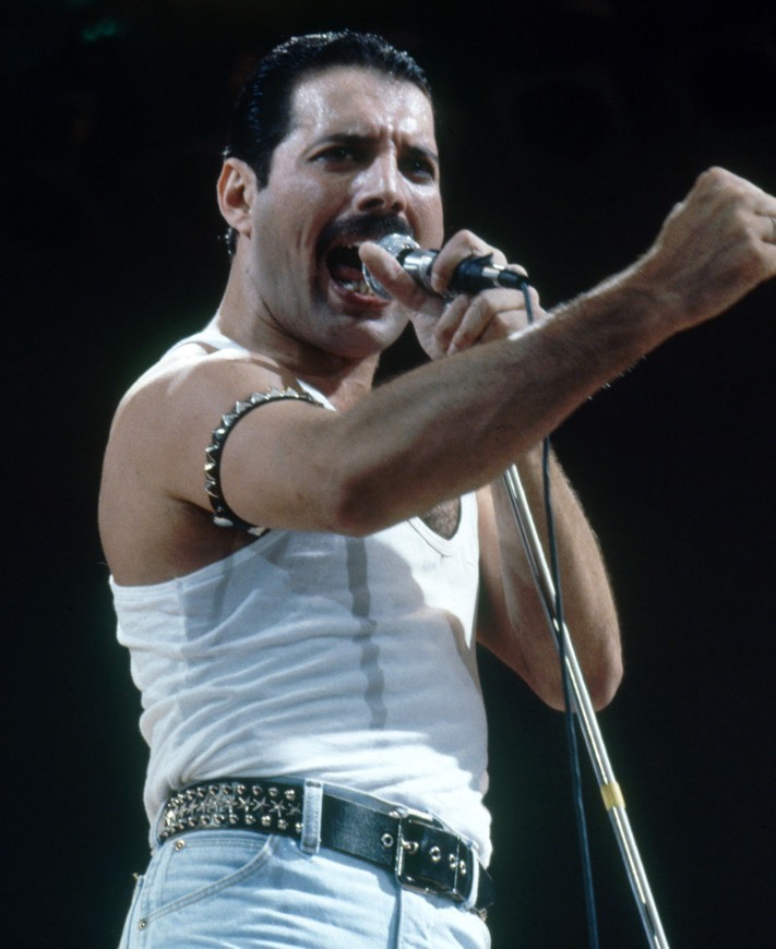 Moda Freddie Mercury