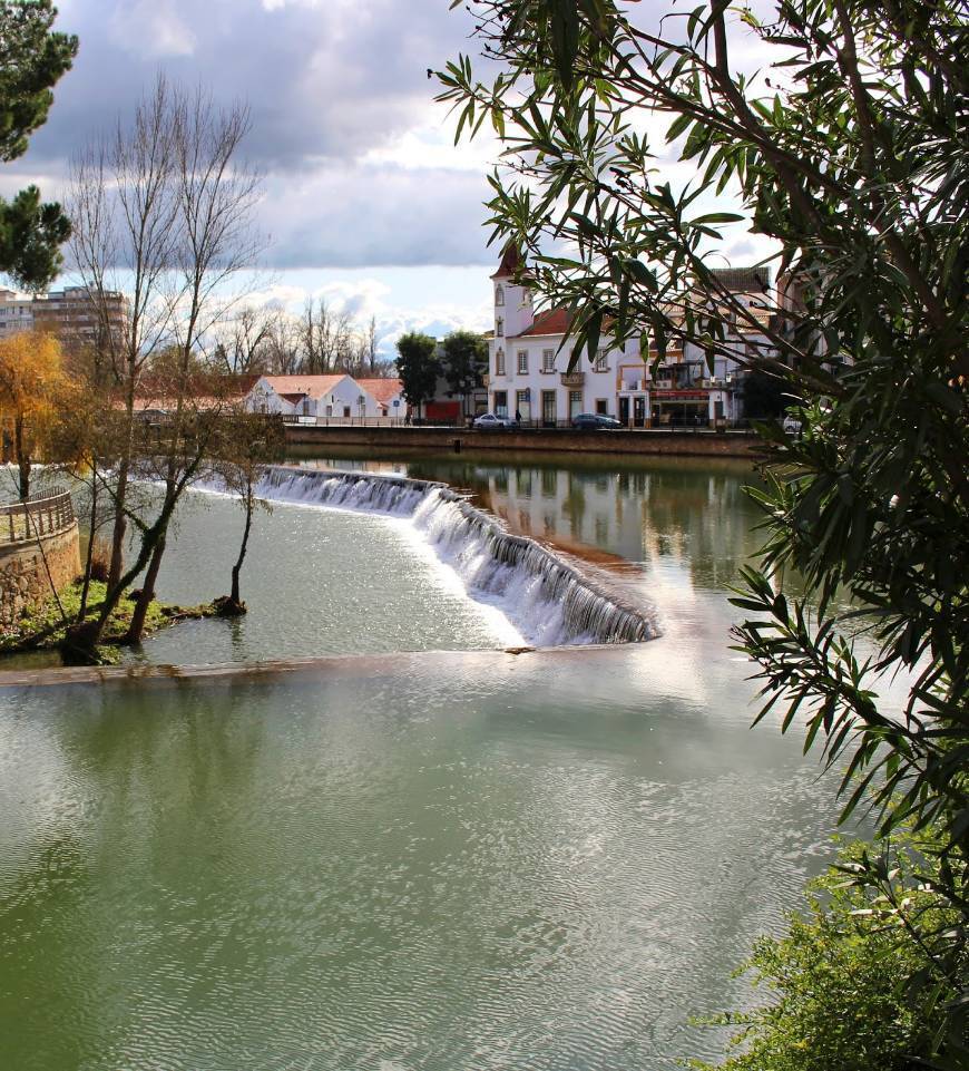 Lugar Parque do Mouchão