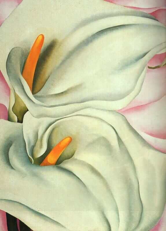 Moda Georgia O’keeffe