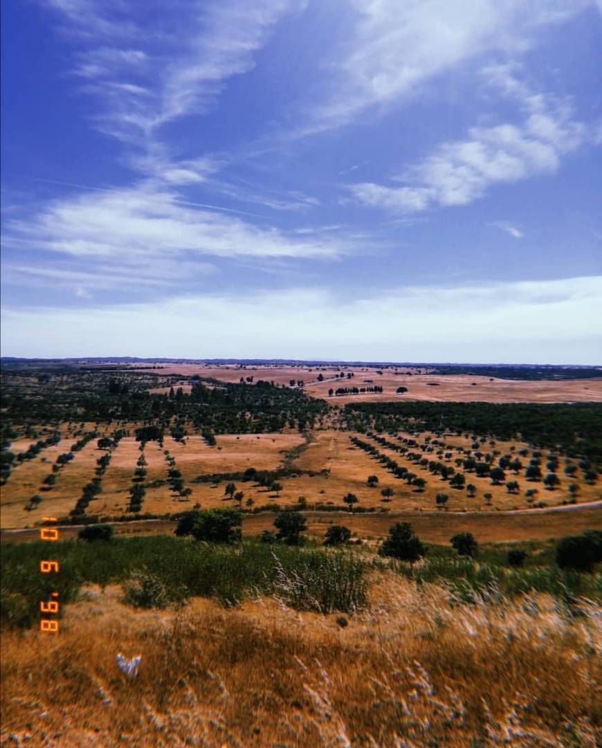 Alentejo 🌾