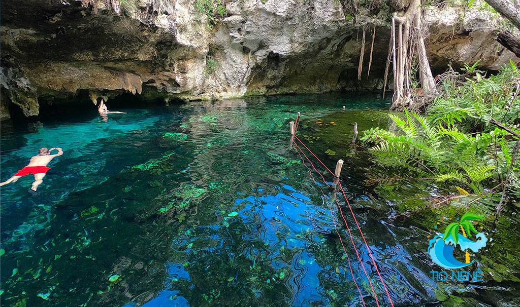 Lugar Gran Cenote