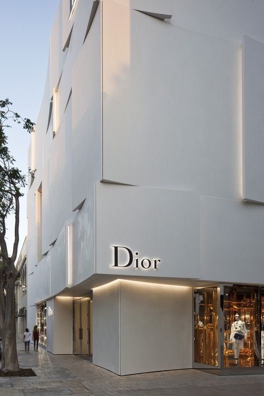 Fashion Dior