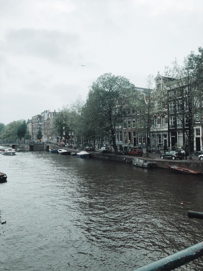 Lugar Ámsterdam
