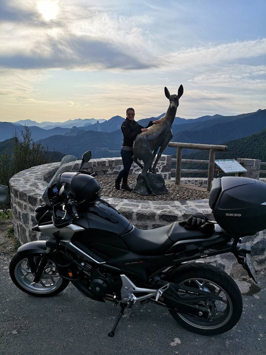 Lugares Mirador del Corzo - Puerto de San Glorio