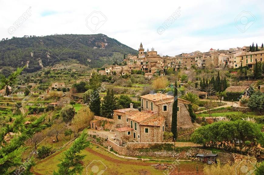 Place Valldemosa