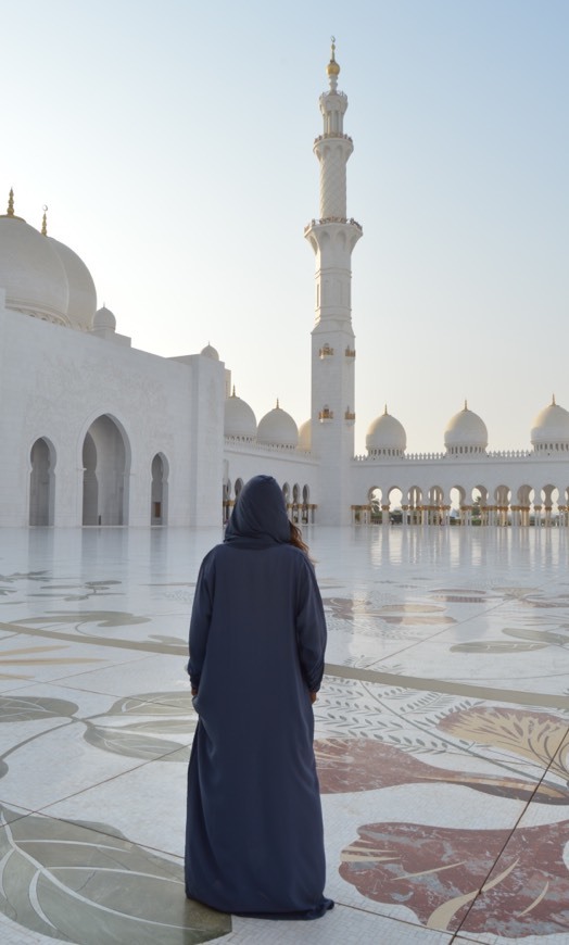 Lugar Sheikh Zayed Mosque