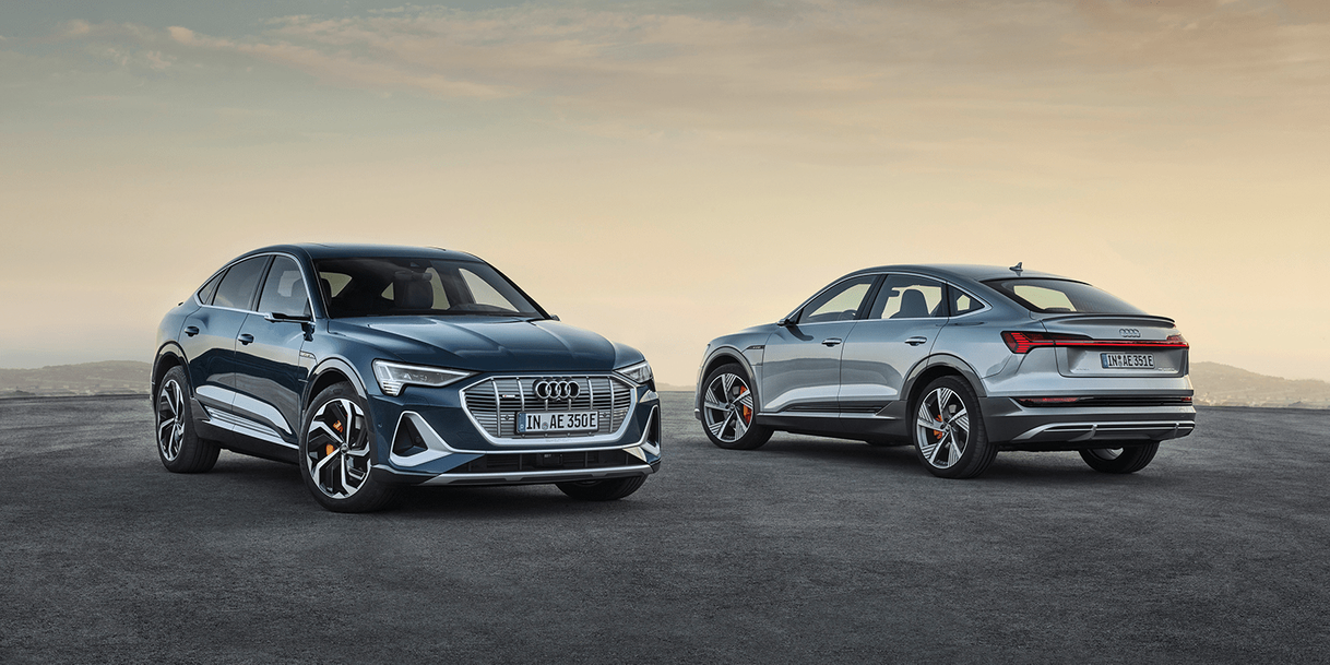 Social Audi e