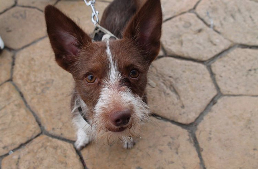 Social Ninguém conseguia lhe tirar fotos, eu tirei a primeira 😌