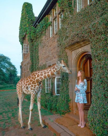 Giraffe Manor