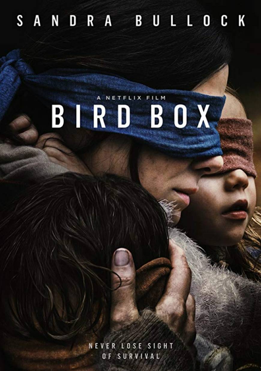 Fashion Bird Box