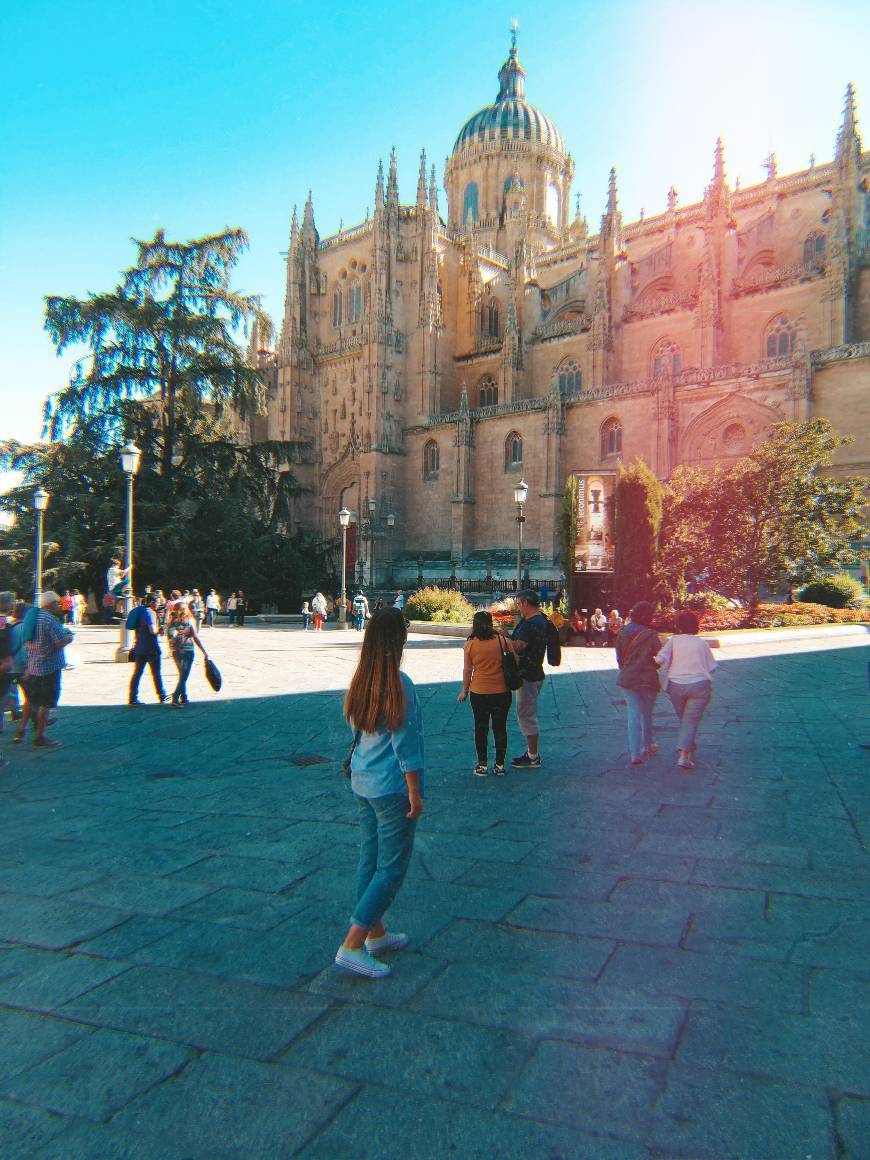 Place Catedral de Salamanca