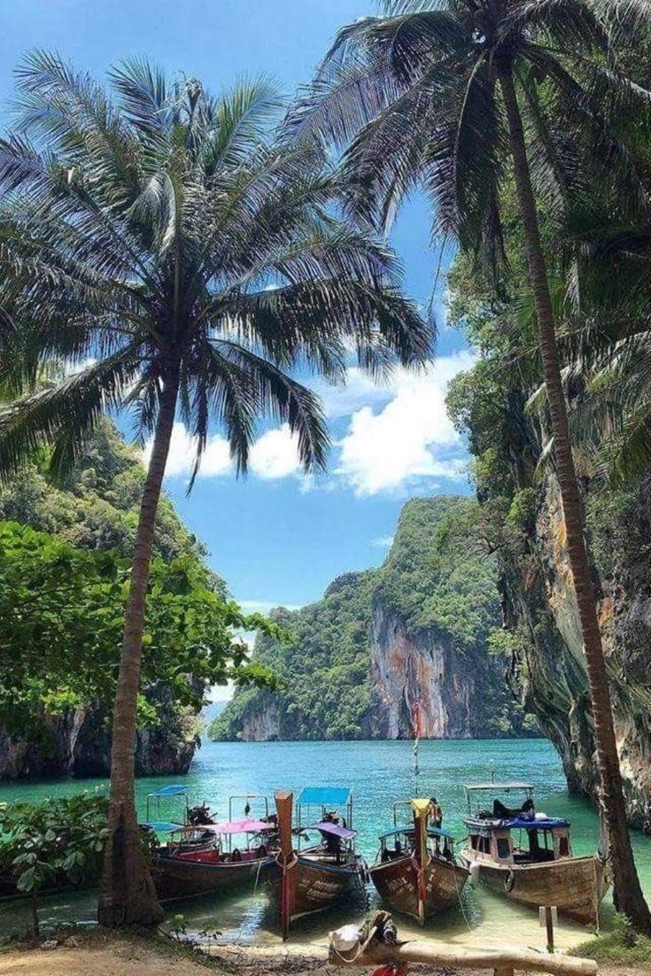 Social Thailand
