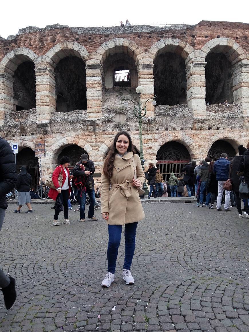 Place Arena di Verona