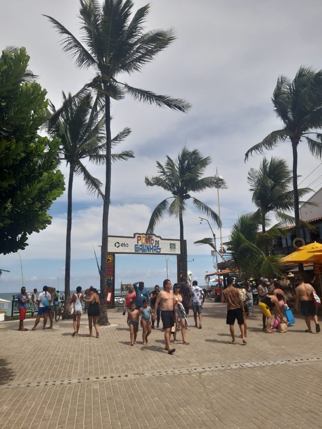 Lugar Porto de Galinhas