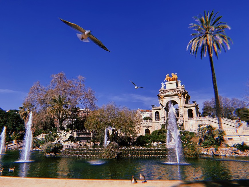 Place Parque de la Ciudadela