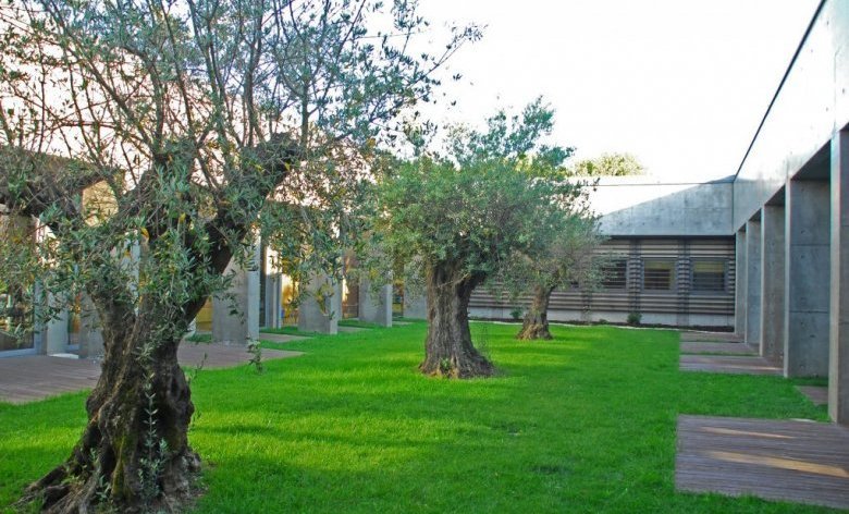 Lugares Biblioteca Municipal José Marmelo Silva - Espinho