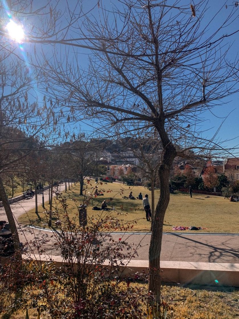 Place Jardim da Cerca da Graça