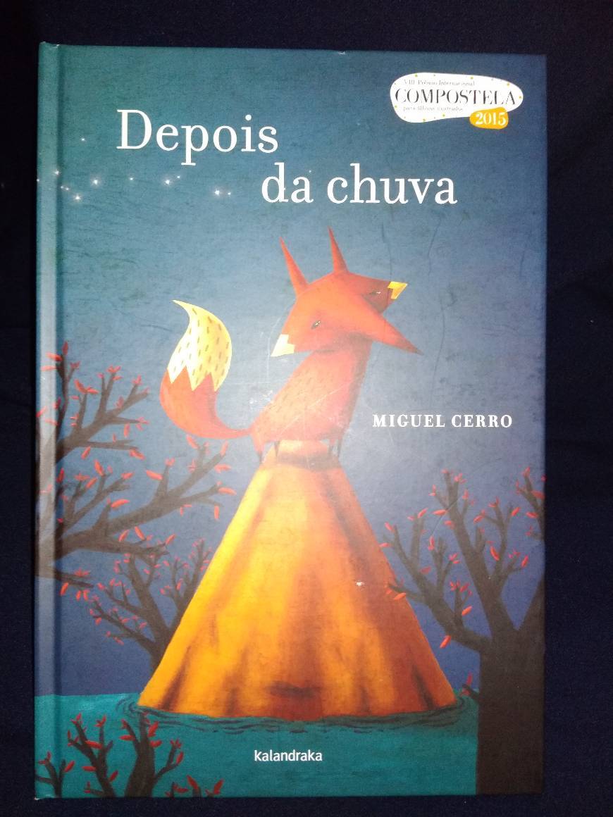 Book Depois da chuva 