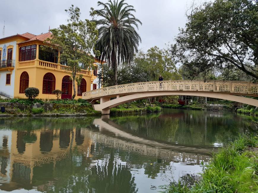 Lugar Parque Dom Pedro Infante - City Park