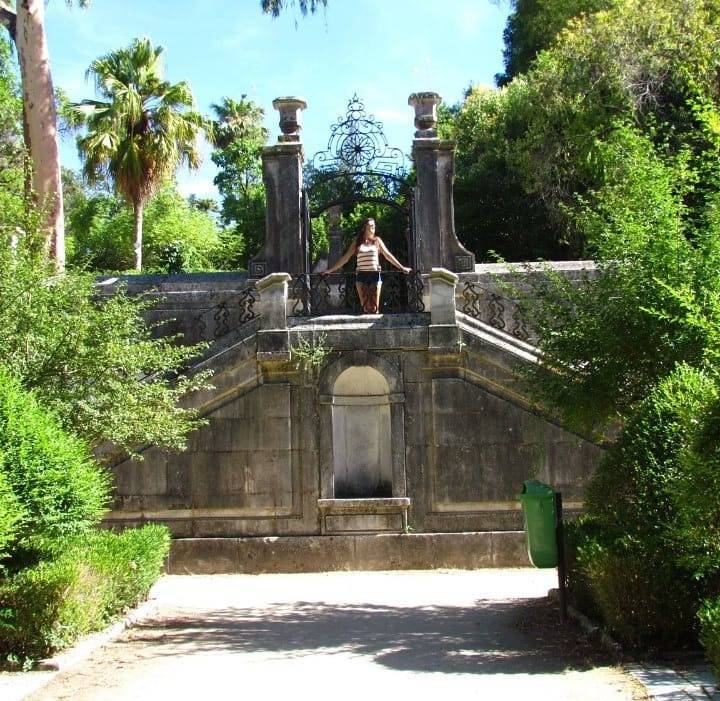 Lugar Jardim Botânico da Universidade de Coimbra