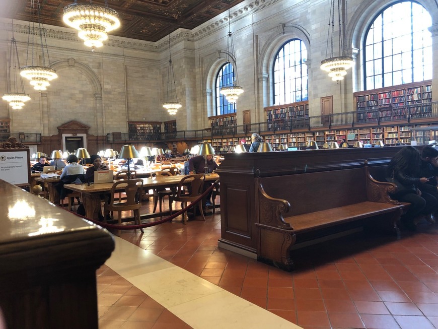 Place The New York Public Library - Roosevelt Island