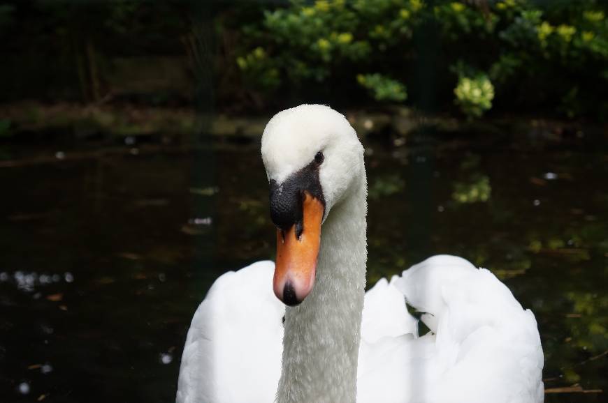 Social Das Melhores Fotos que Já Tirei 