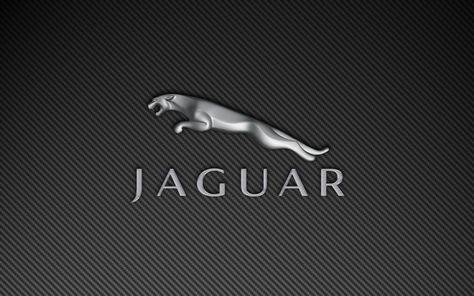 Fashion Jaguar 