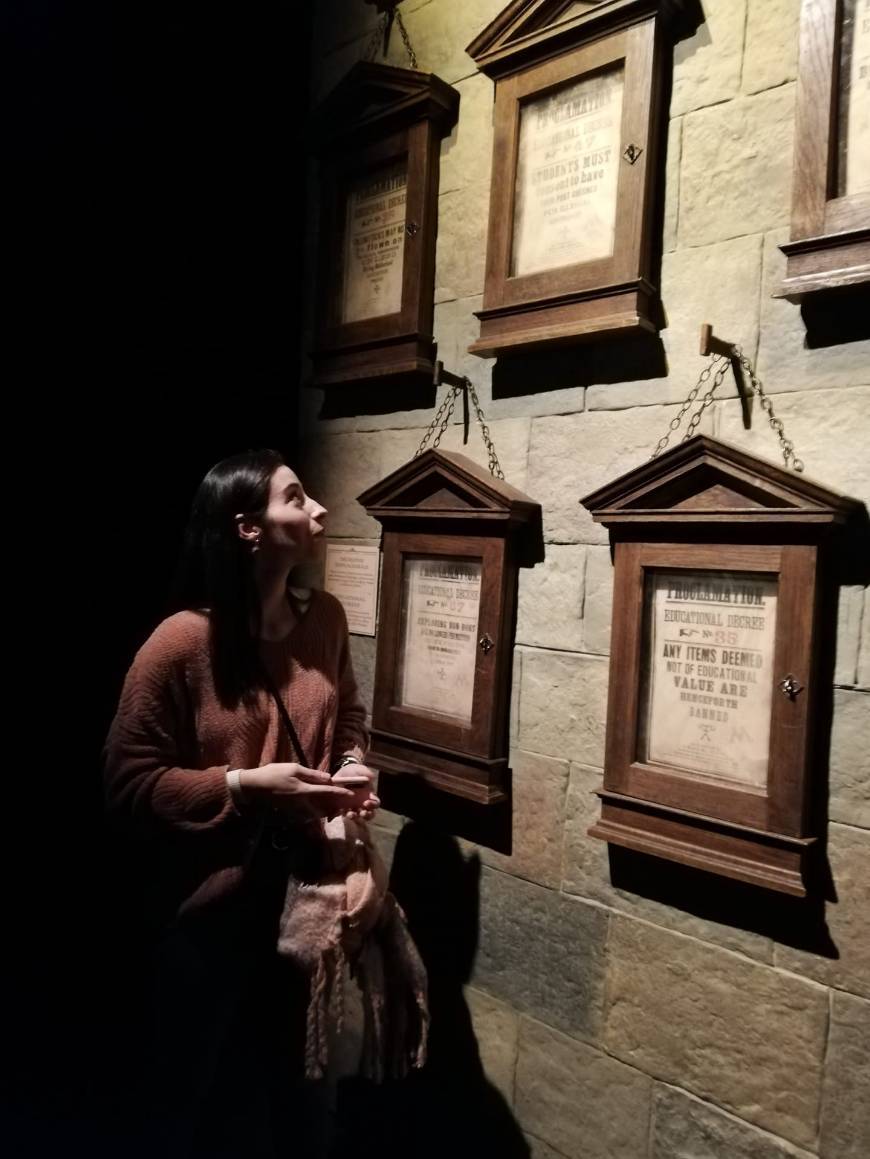 Place Harry Potter: the exhibition