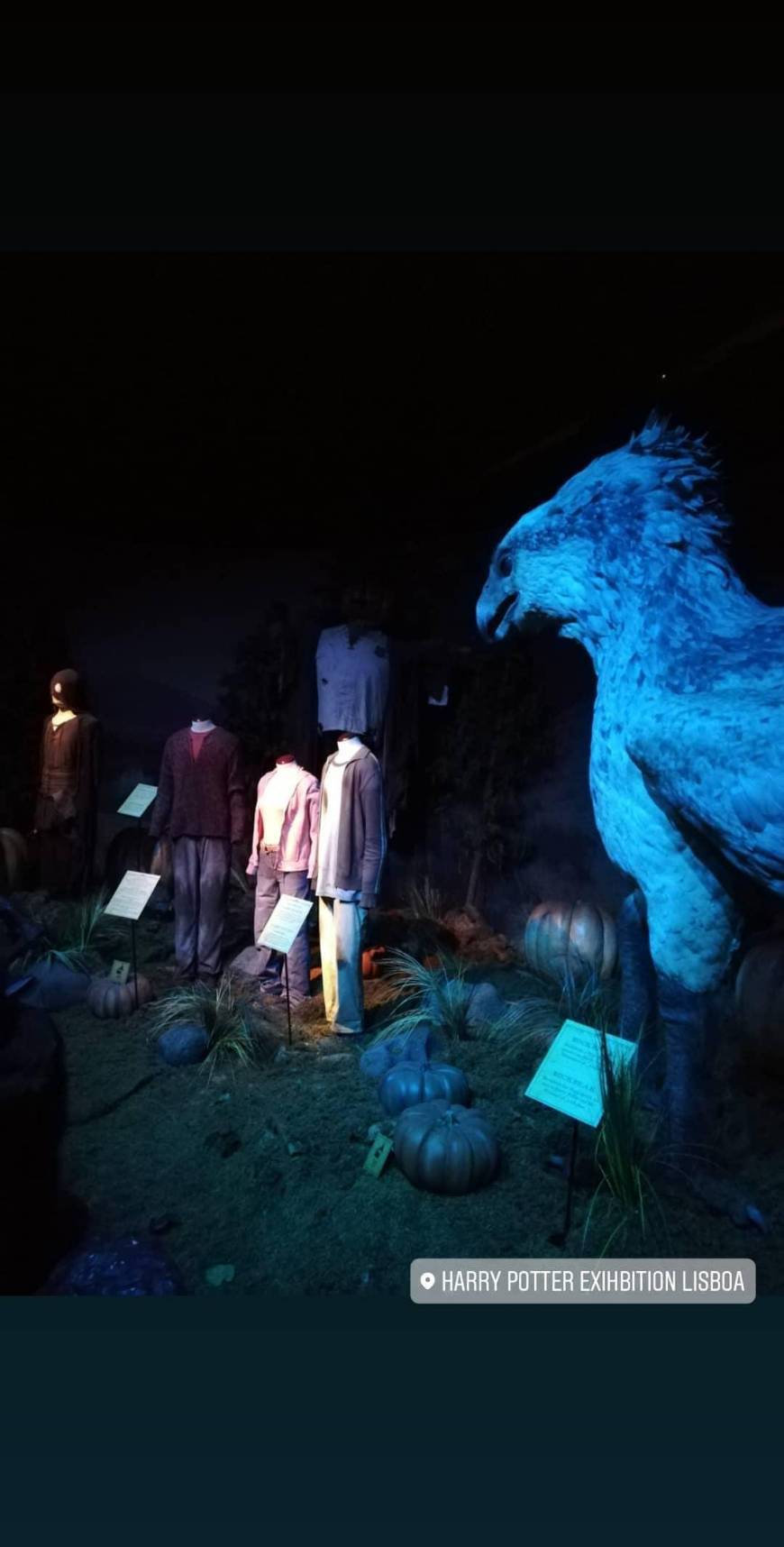 Place Exposição do harry potter