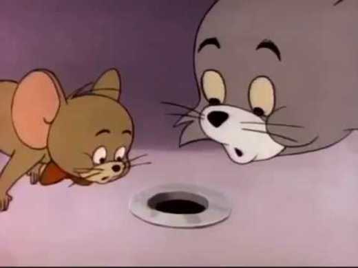 The Tom and Jerry Show