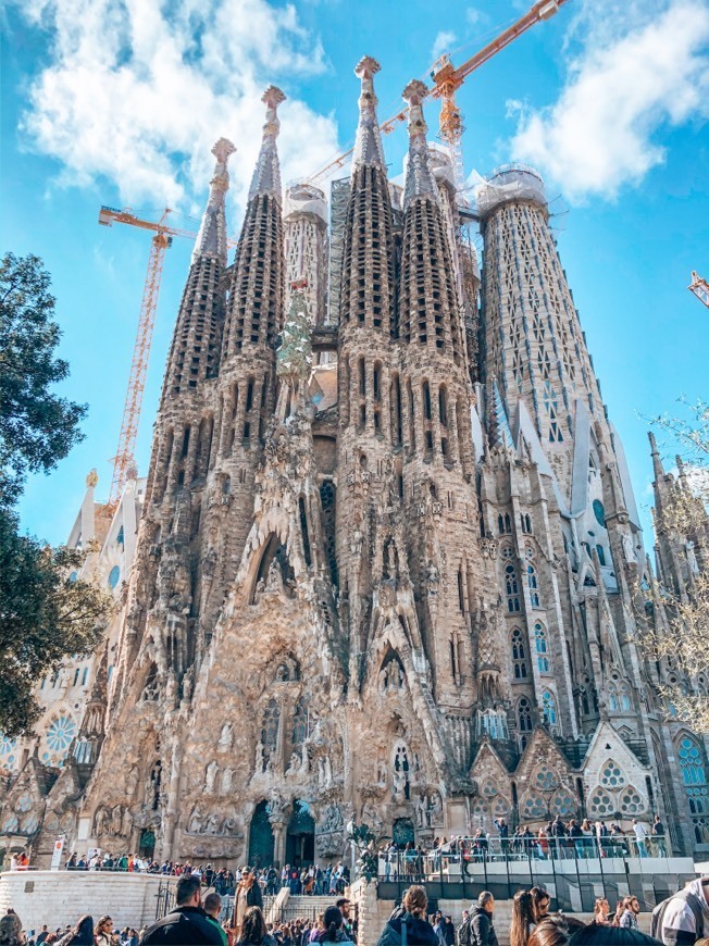 Lugar Basílica Sagrada Familia