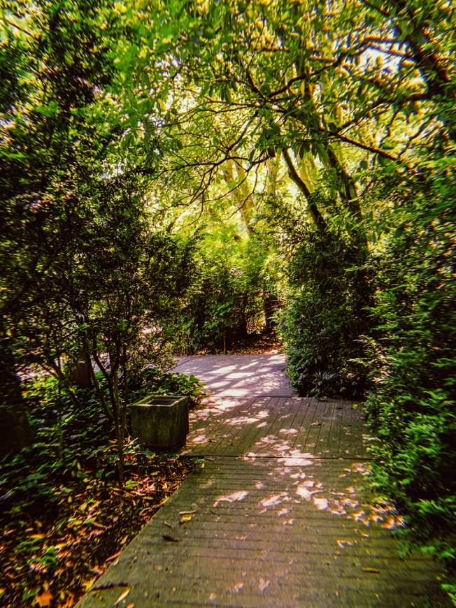 Lugar Parque Gulbenkian