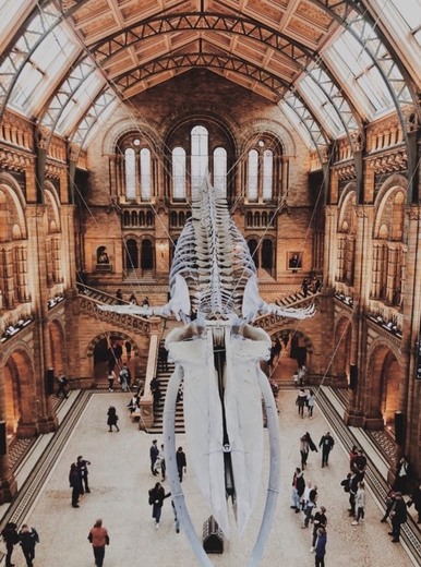 Natural History Museum