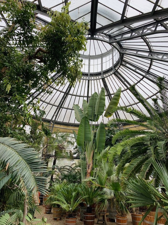 Lugar Hortus Botanicus Amsterdam