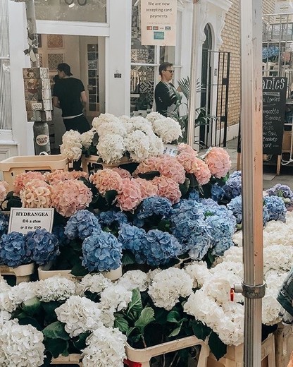 Columbia Road Flower Market