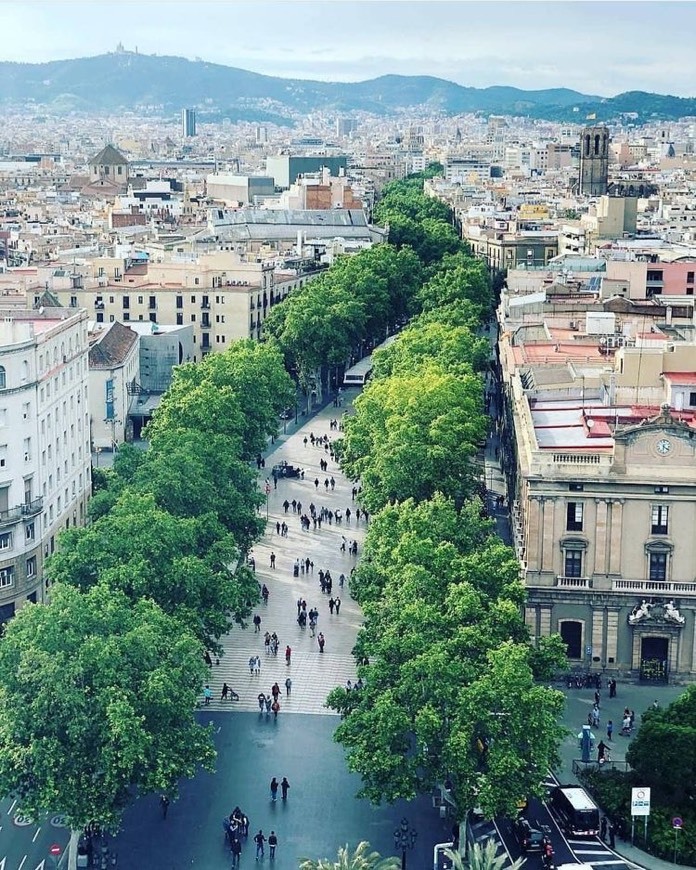 Lugar La Rambla