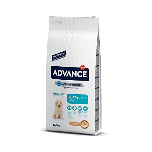 Product Advance Advance Pienso para Perro Maxi Puppy con Pollo