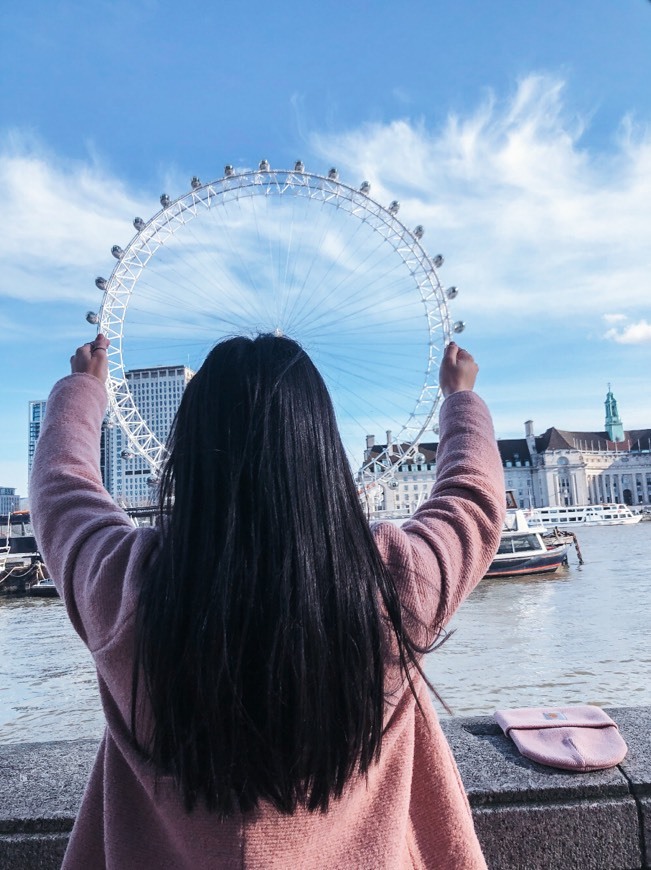 Place London Eye