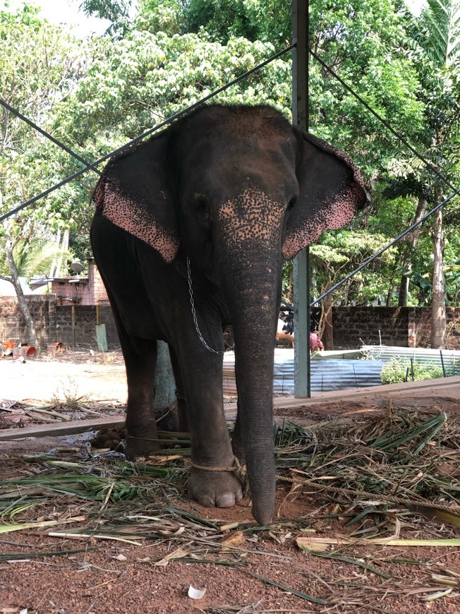 Lugares Poothakkulam