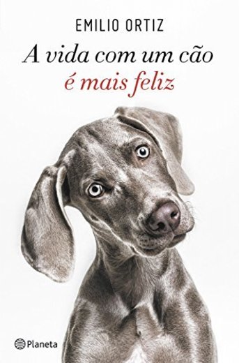 A vida com um cão é mais feliz