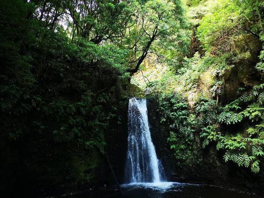 Sanguinho - Turismo de Natureza nos Açores Lda.