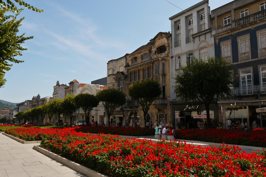 Place Avenida Central