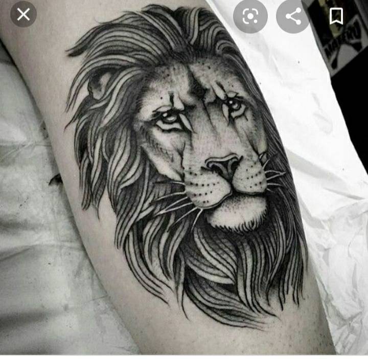 Fashion Leão🦁