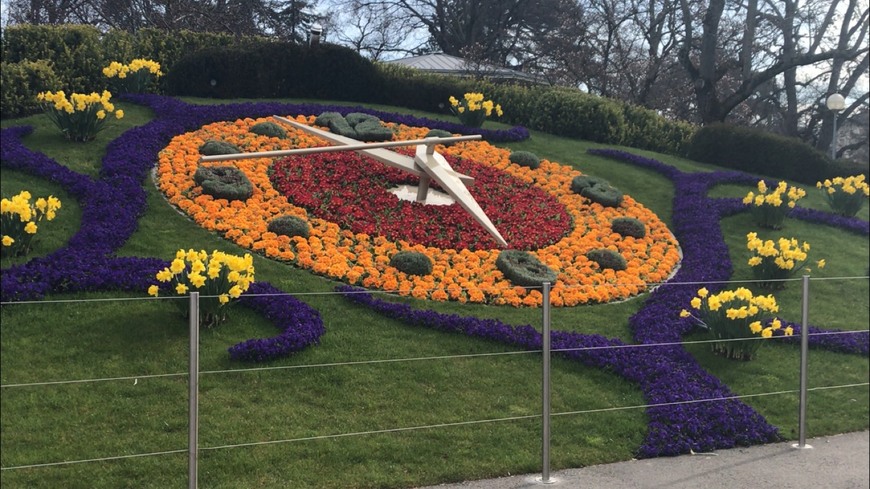 Place L'Horloge Fleurie