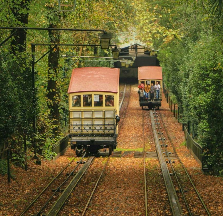 Lugar Bom Jesus Funicular