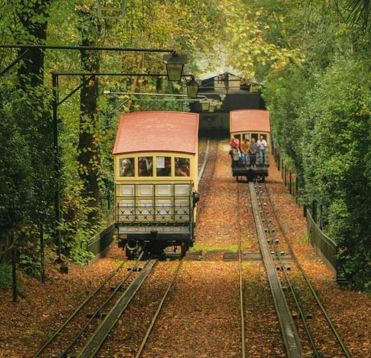 Bom Jesus Funicular