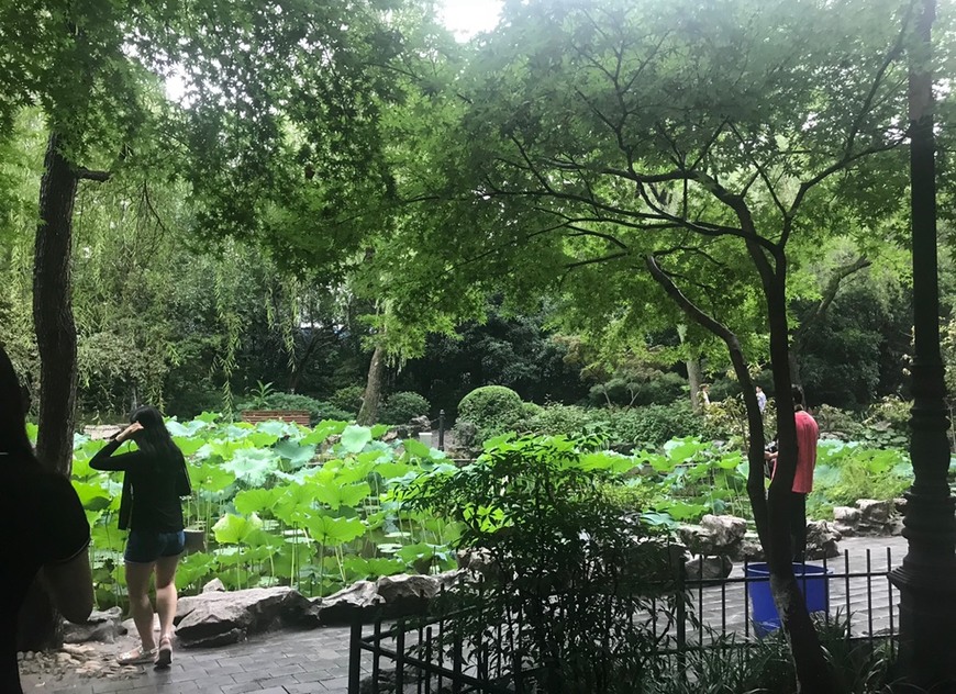 Luxun Park